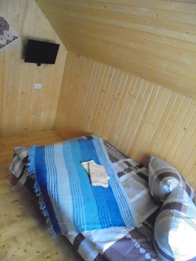 Lisovychok Villa Vorokhta Eksteriør billede