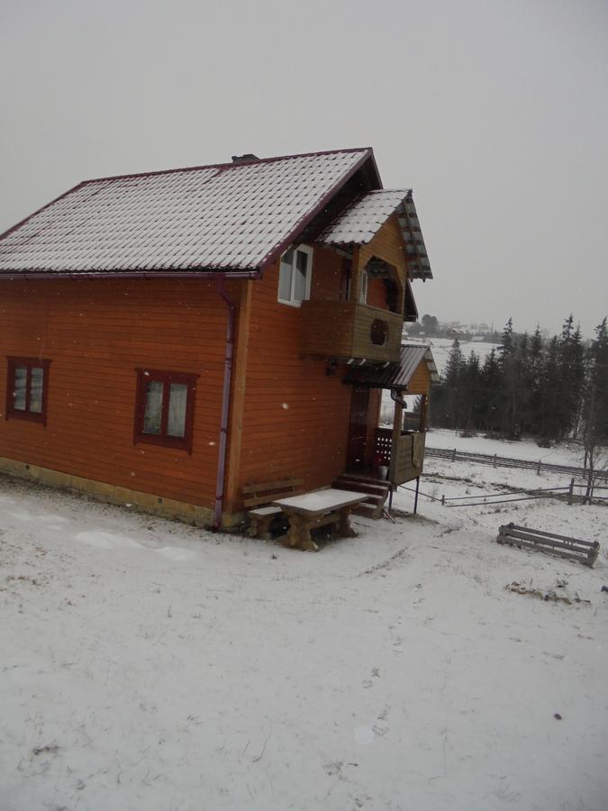 Lisovychok Villa Vorokhta Eksteriør billede