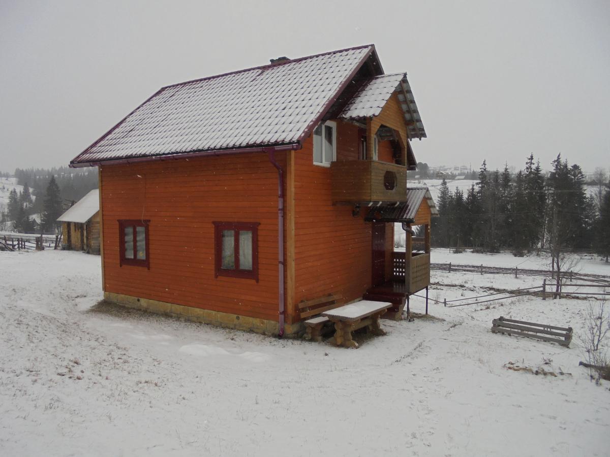 Lisovychok Villa Vorokhta Eksteriør billede