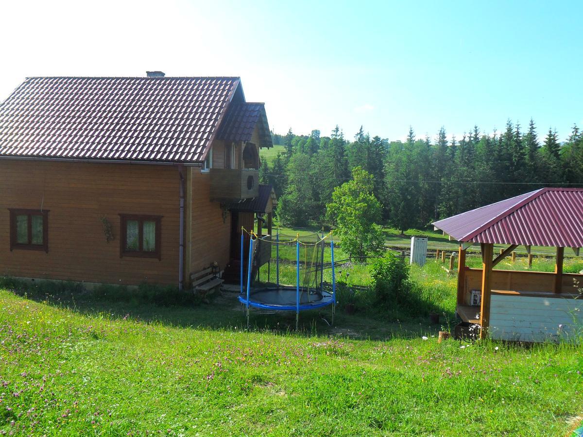 Lisovychok Villa Vorokhta Eksteriør billede